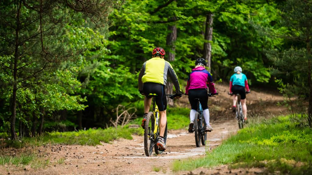 index slider image 3